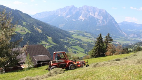 Sommer im Steirischen Ennstal , Bild 7